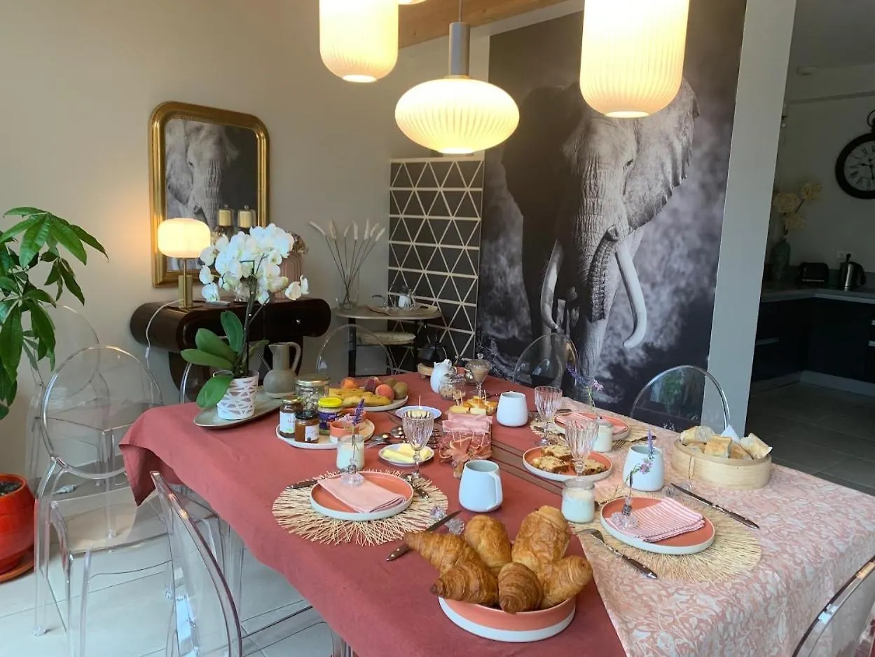 Maison D'Hotes 